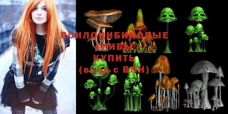 Галлюциногенные грибы Cubensis  кракен как зайти  Великий Устюг 